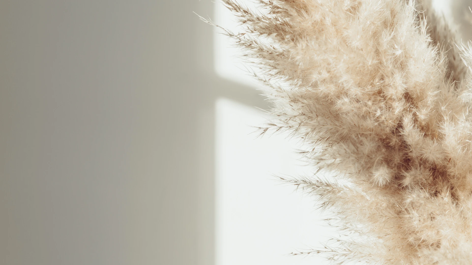 banner filippou